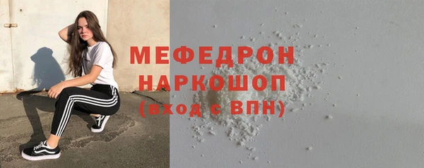 сатива Ельня