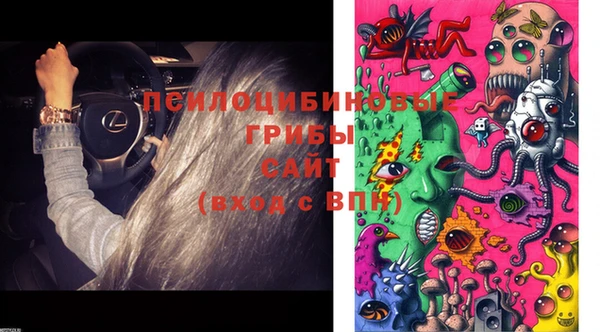 стаф Алексин