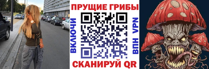 Галлюциногенные грибы Psilocybine cubensis Оленегорск