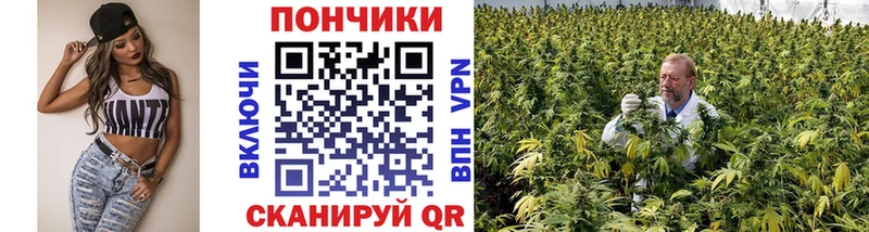 как найти наркотики  Оленегорск  сайты даркнета состав  Бошки Шишки гибрид 
